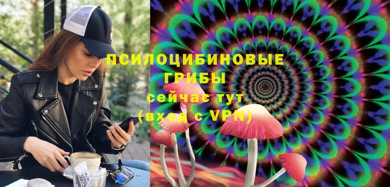 что такое наркотик  Азнакаево  Галлюциногенные грибы MAGIC MUSHROOMS 